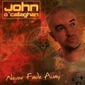 John O'Callaghan - Never Fade Away